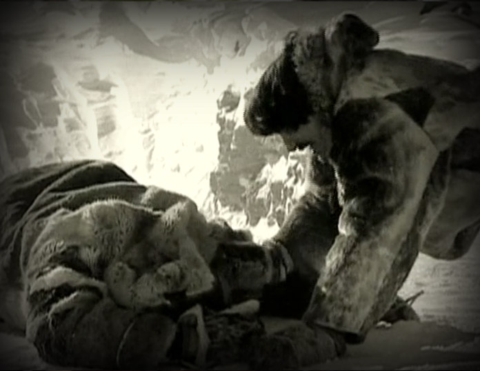 The Muskox Patrol, 2004