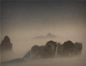 The Quest : Episode 4/6, 2011